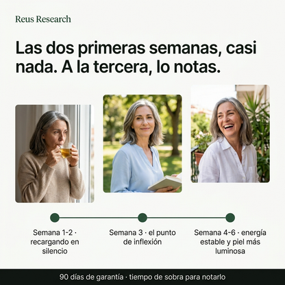 Qué esperar: las dos primeras semanas casi nada, a la tercera lo notas