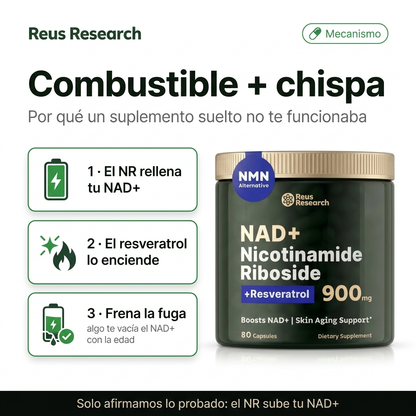 Combustible y chispa: cómo el NR rellena tu NAD+ y el resveratrol lo enciende